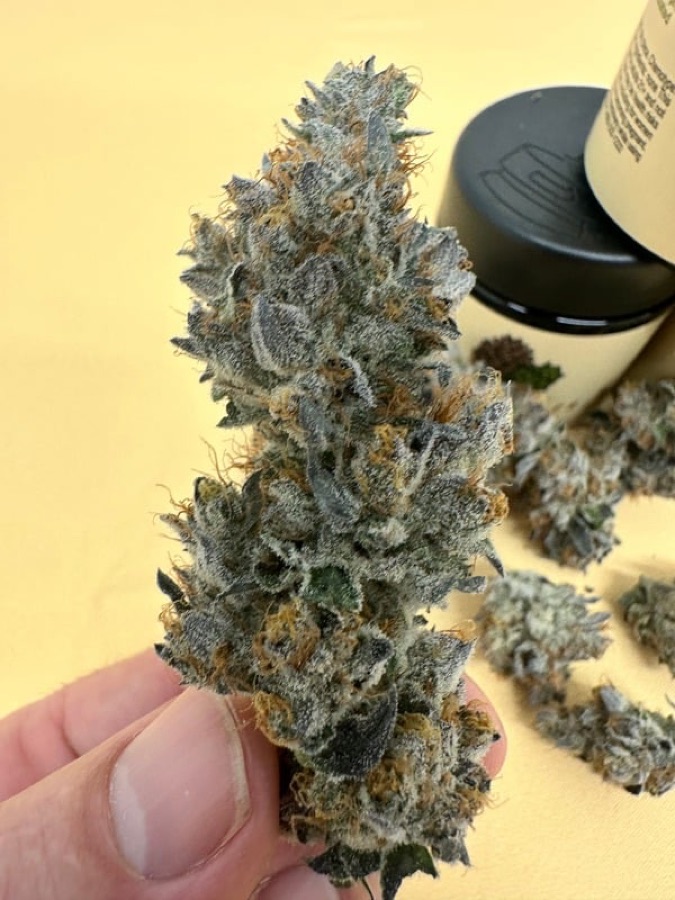 Double Dipper flower by Bass River Buds